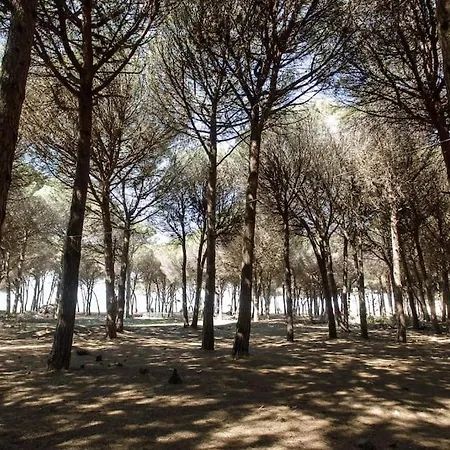 Emi's Willa Golem (Tirana)